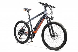 Electric-bicycle（雷克斯）-(2)